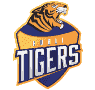 Hubli Tigers