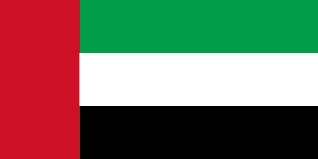 United Arab Emirates team logo
