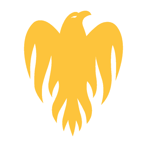 Wellington Firebirds team logo