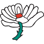 Yorkshire team logo