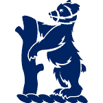 Warwickshire team logo