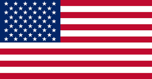 United States of America team logo