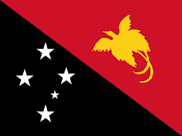Papua New Guinea team logo