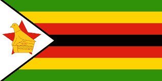 Zimbabwe team logo