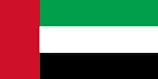 United Arab Emirates team logo