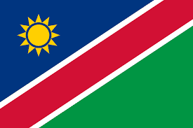 Namibia team logo