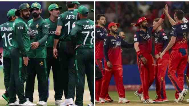 Pakistan Men's White-Ball head coach