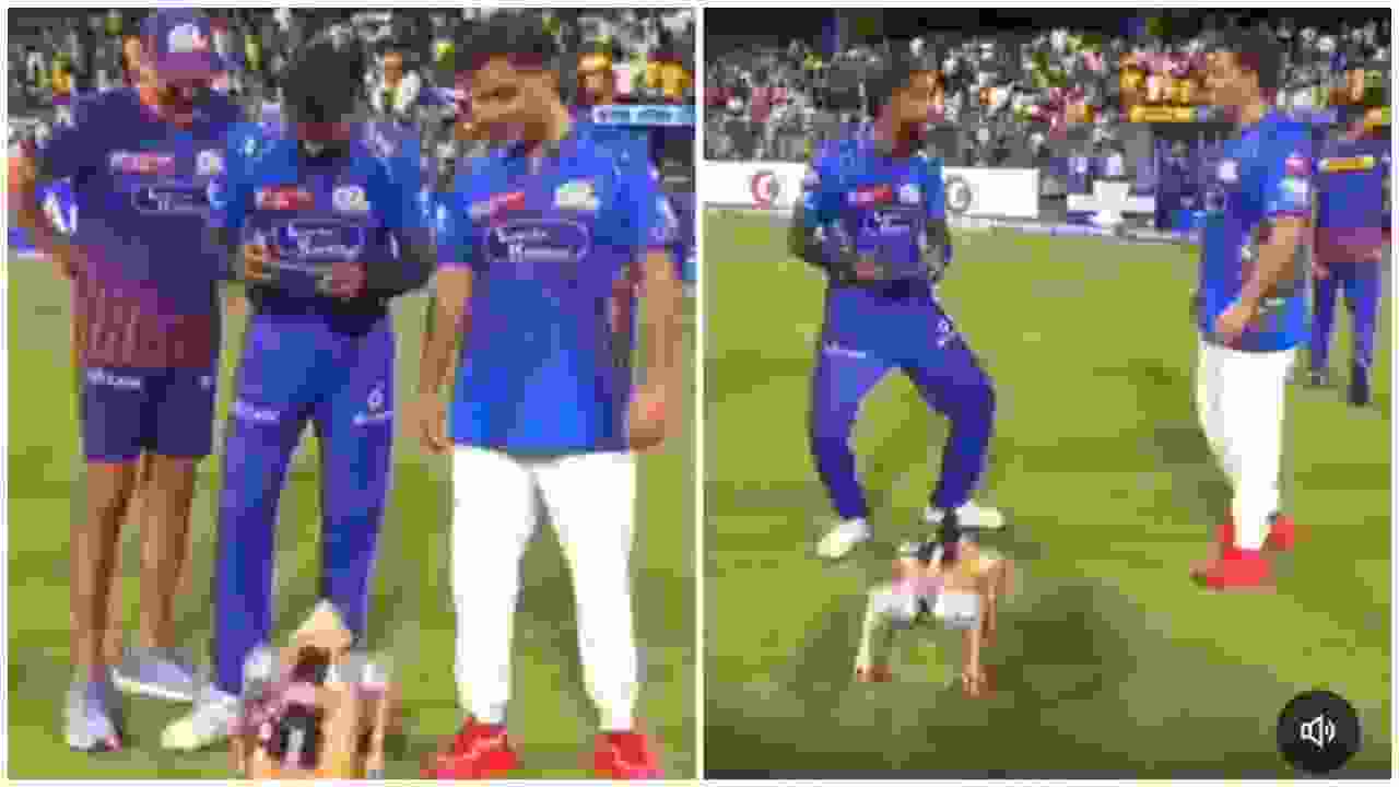 Hardik Pandya with robot dog