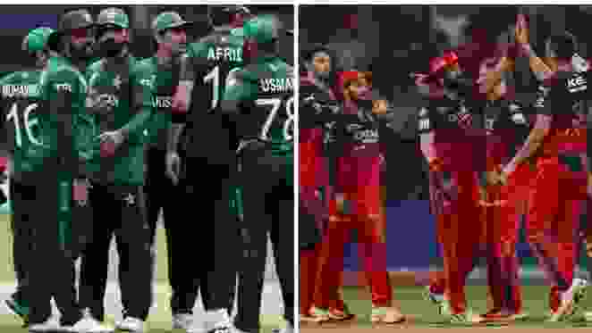 Pakistan Men's White-Ball head coach