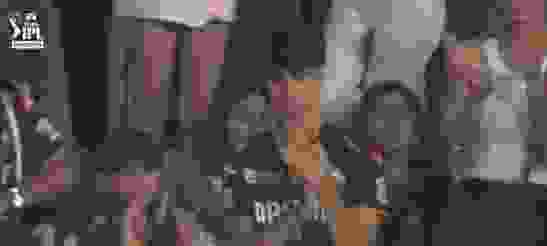 gt loss.webp