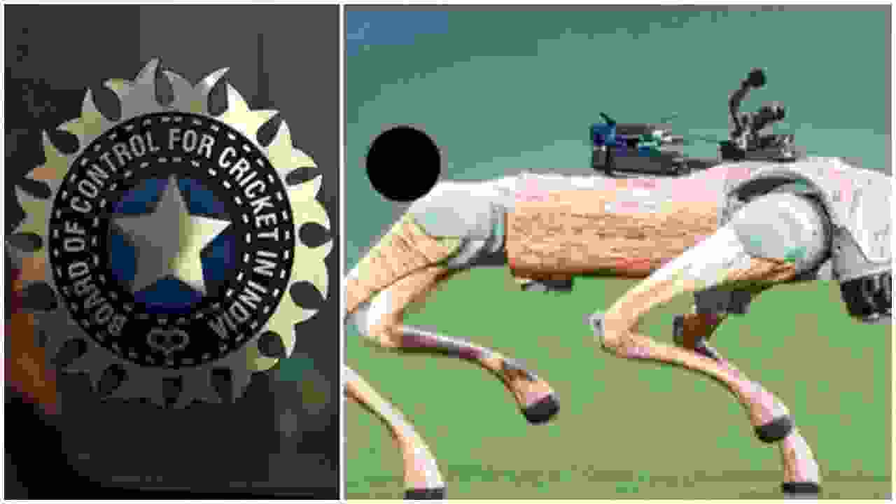 robo dog bcci.webp
