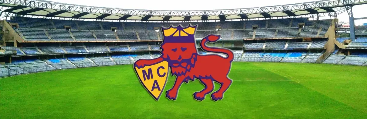 mca.webp