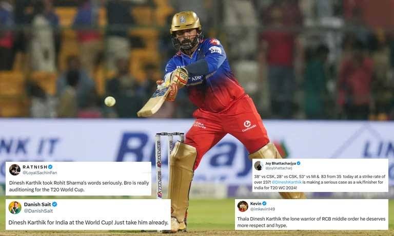 IPL 2024: Karthik's valiant effort against SRH; Fans want him in World Cup