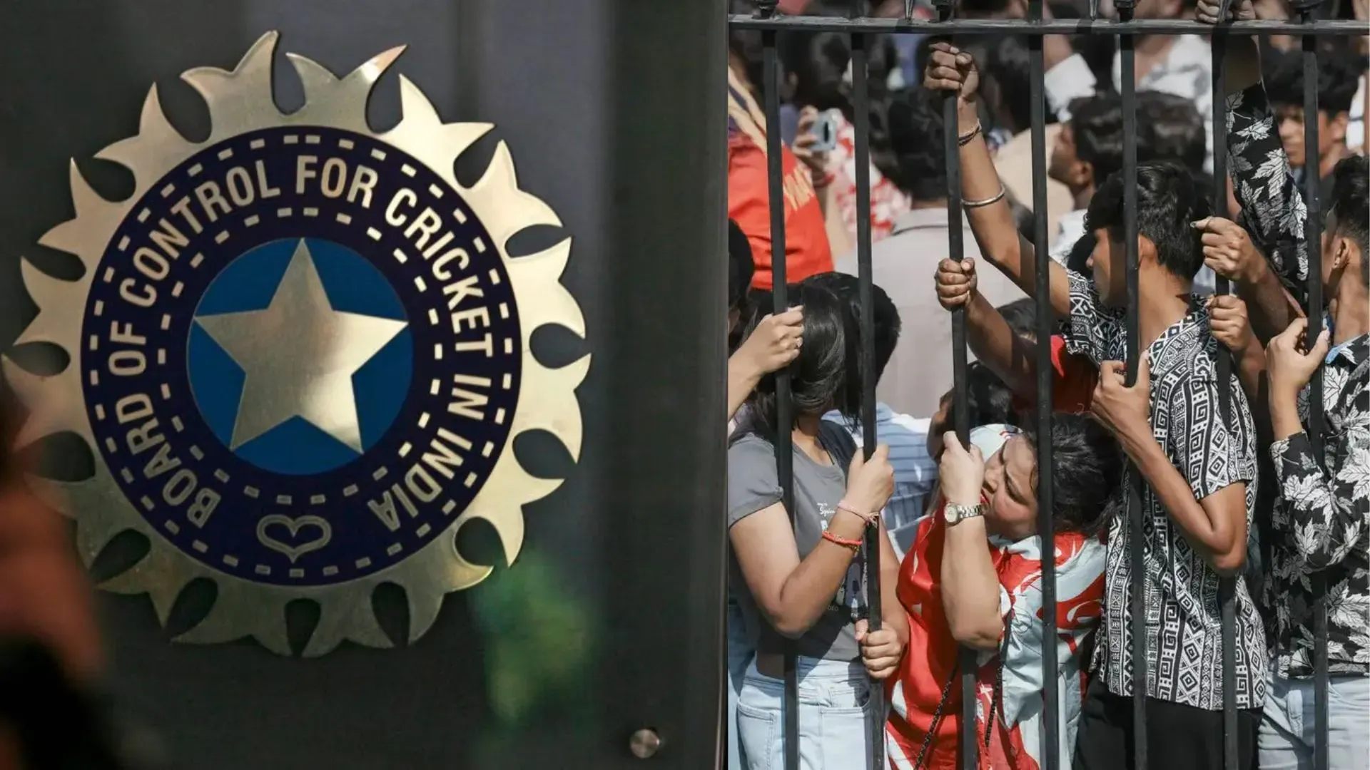 BCCI-on-Bengaluru-Stampede.webp