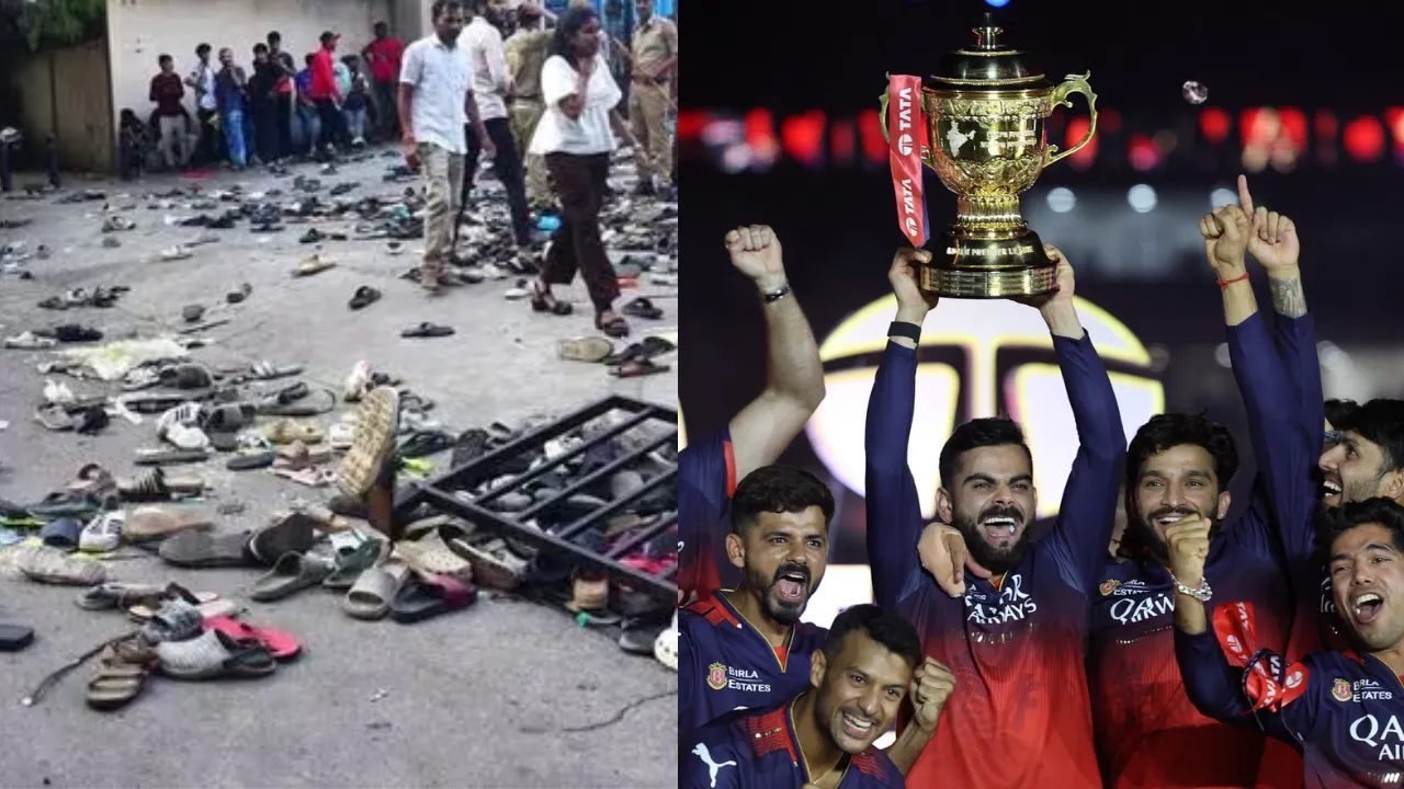 rcb stampede modi.webp